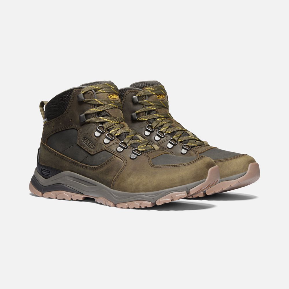 Keen Vandringskängor Herr Olivgröna - Innate Läder Waterproof - 093568SIK